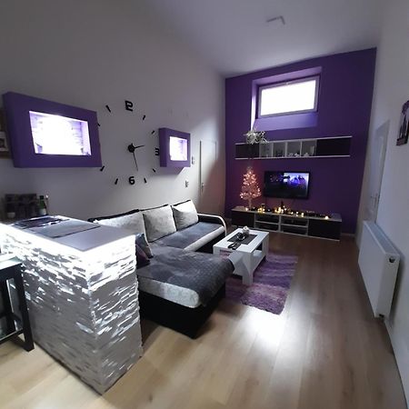 Apartman Lela Vrsac Ngoại thất bức ảnh
