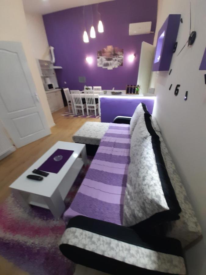 Apartman Lela Vrsac Ngoại thất bức ảnh