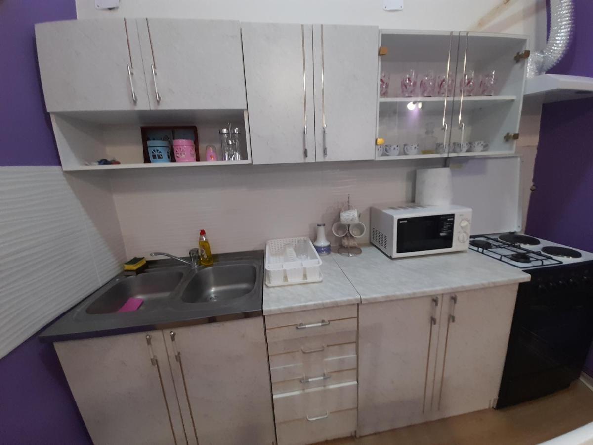 Apartman Lela Vrsac Ngoại thất bức ảnh
