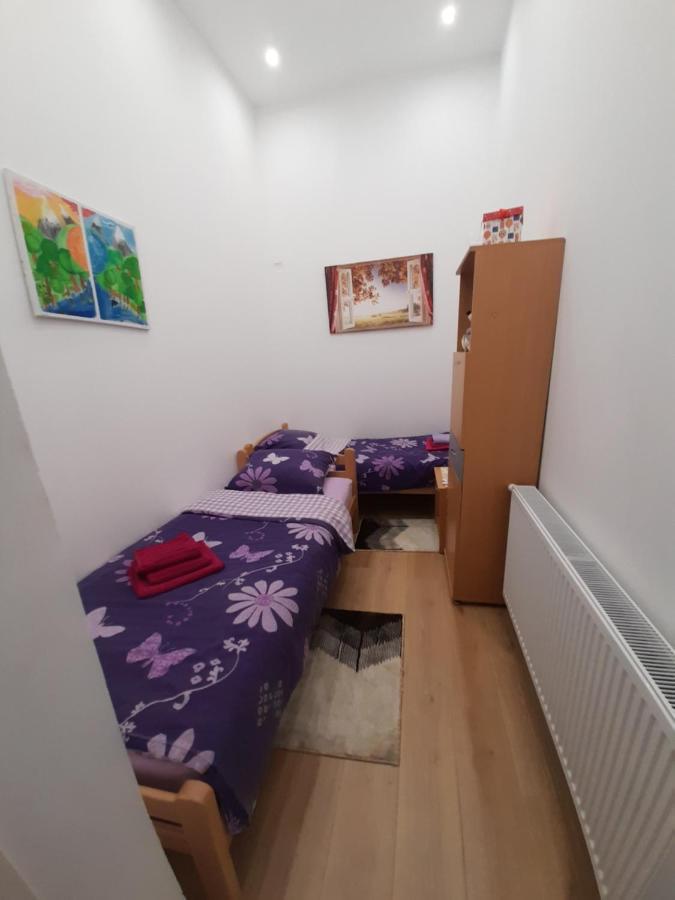 Apartman Lela Vrsac Ngoại thất bức ảnh