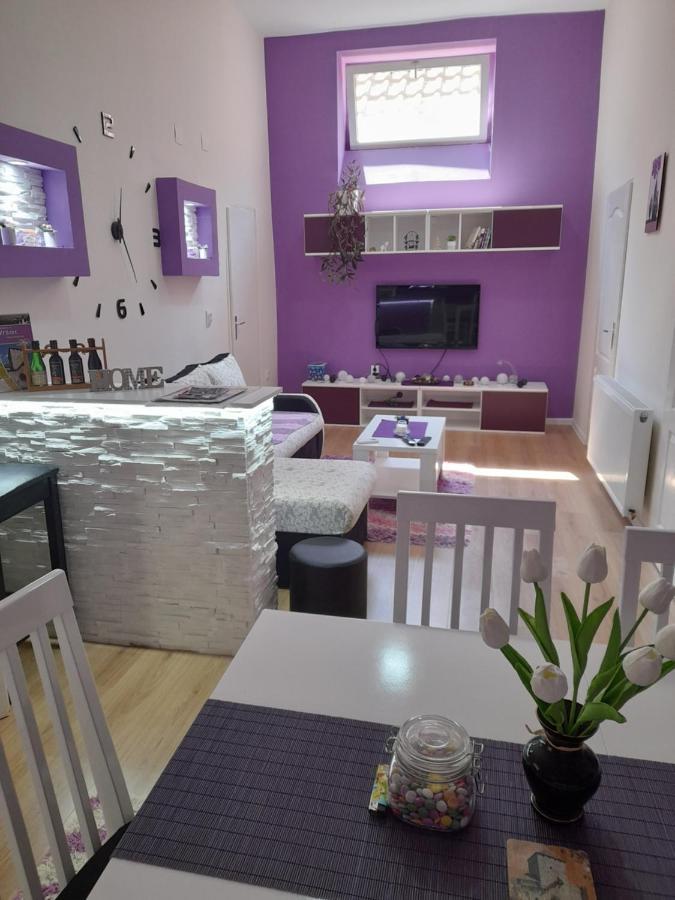 Apartman Lela Vrsac Ngoại thất bức ảnh