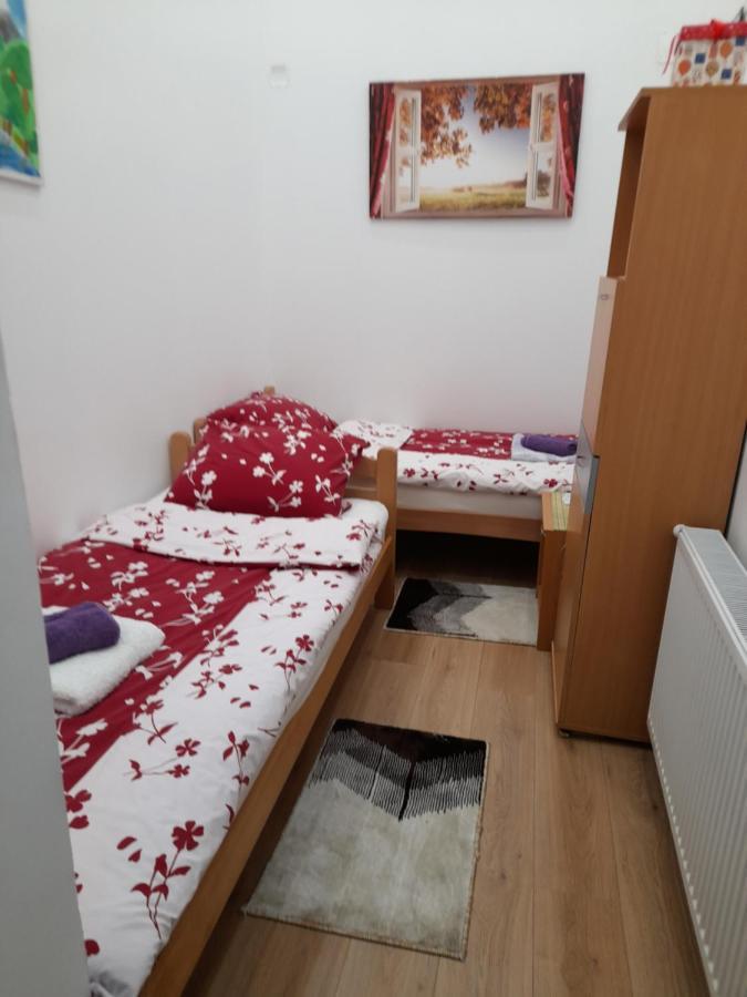 Apartman Lela Vrsac Ngoại thất bức ảnh