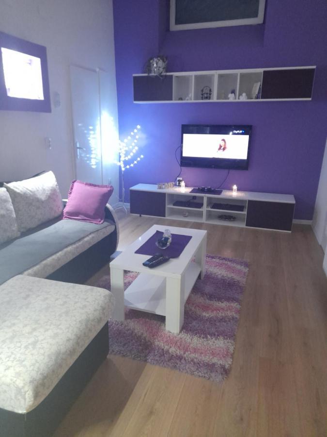 Apartman Lela Vrsac Ngoại thất bức ảnh