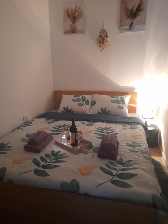 Apartman Lela Vrsac Ngoại thất bức ảnh