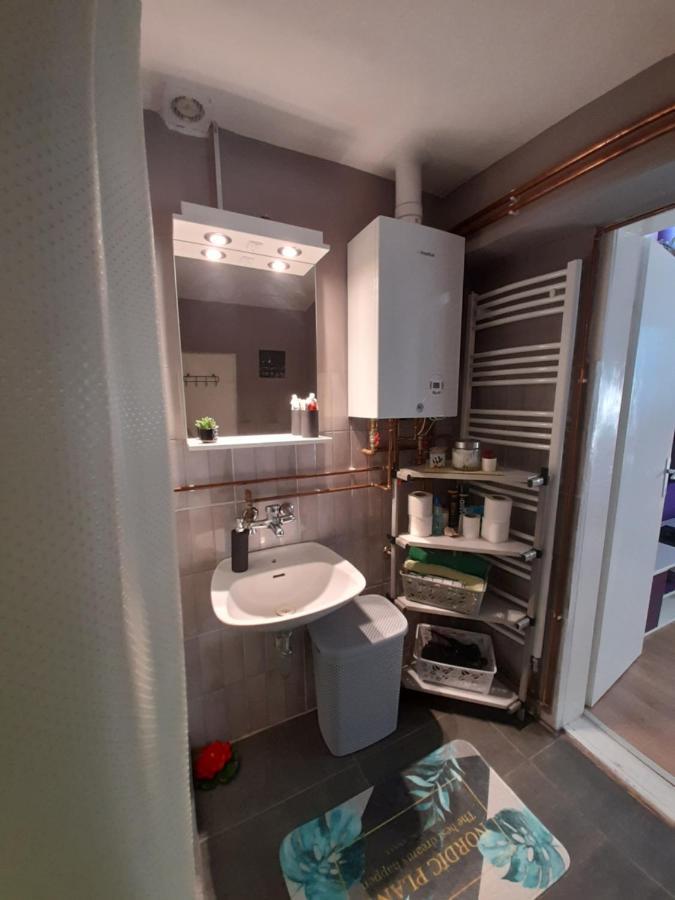 Apartman Lela Vrsac Ngoại thất bức ảnh