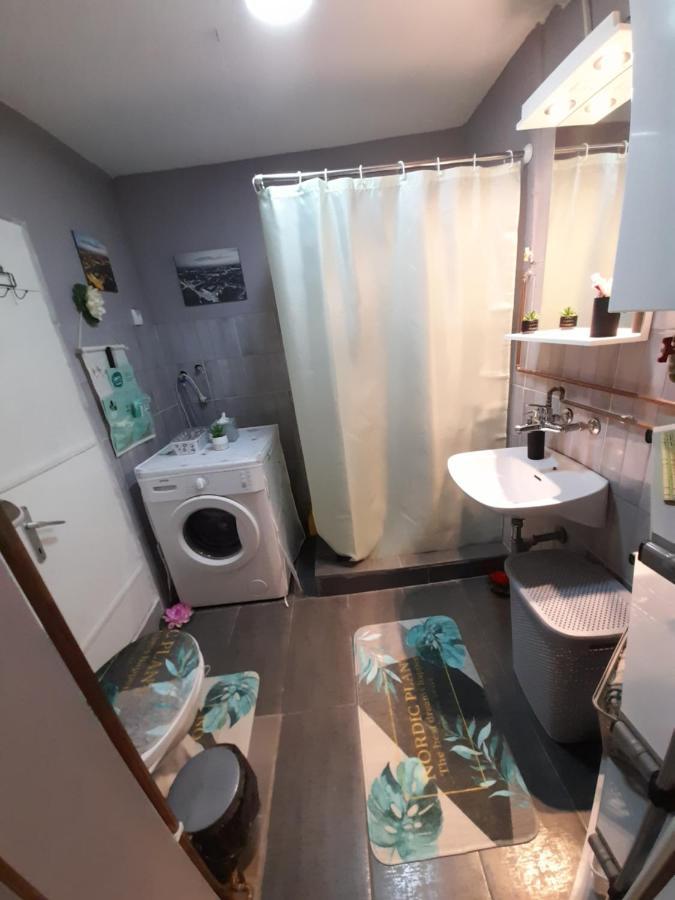 Apartman Lela Vrsac Ngoại thất bức ảnh