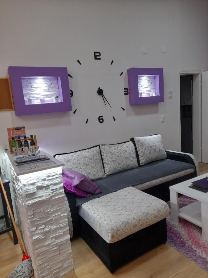 Apartman Lela Vrsac Ngoại thất bức ảnh