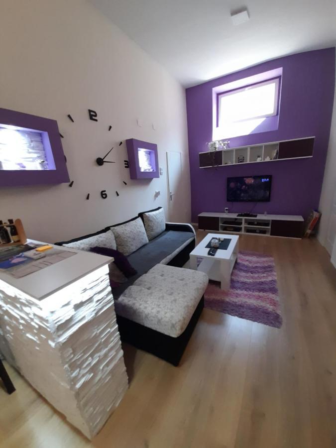 Apartman Lela Vrsac Ngoại thất bức ảnh