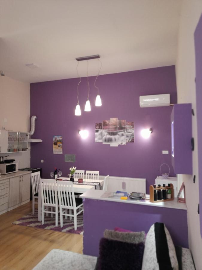 Apartman Lela Vrsac Ngoại thất bức ảnh