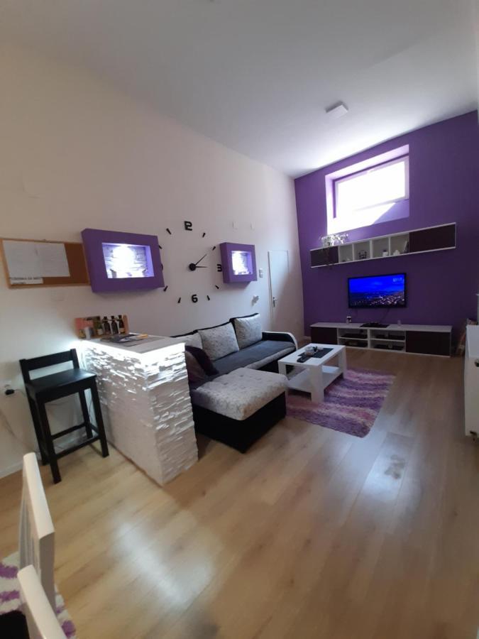 Apartman Lela Vrsac Ngoại thất bức ảnh