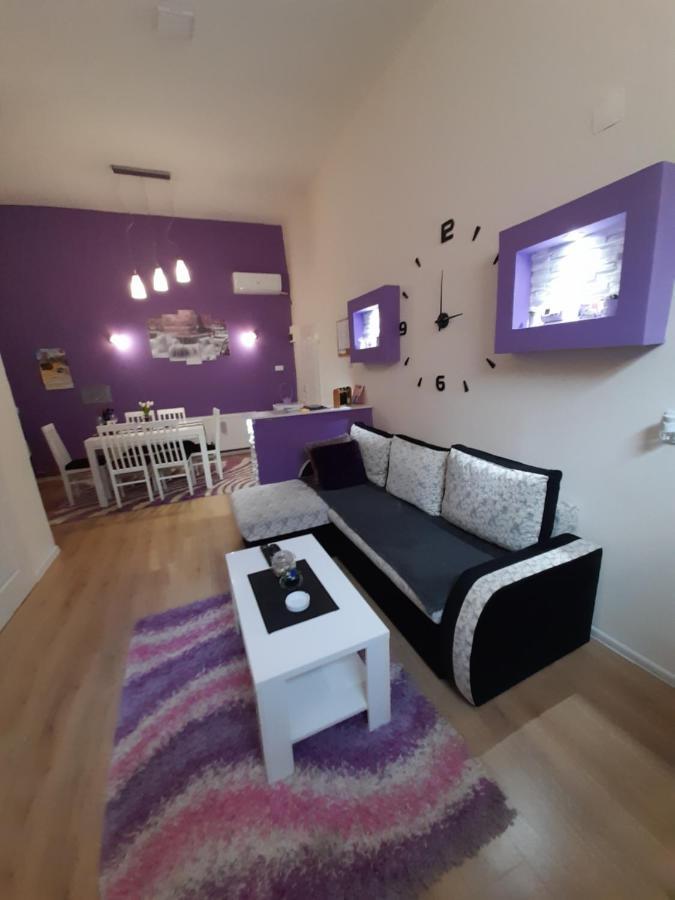 Apartman Lela Vrsac Ngoại thất bức ảnh