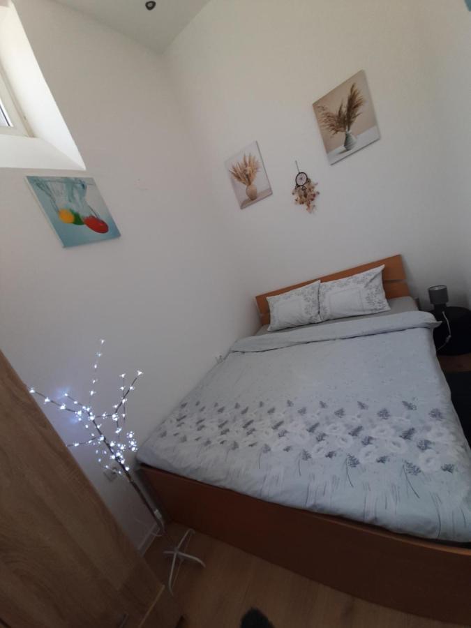 Apartman Lela Vrsac Ngoại thất bức ảnh