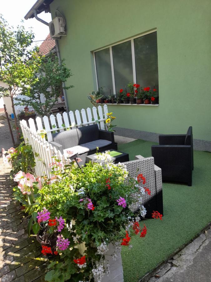 Apartman Lela Vrsac Ngoại thất bức ảnh