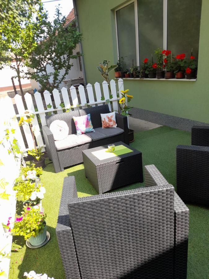 Apartman Lela Vrsac Ngoại thất bức ảnh